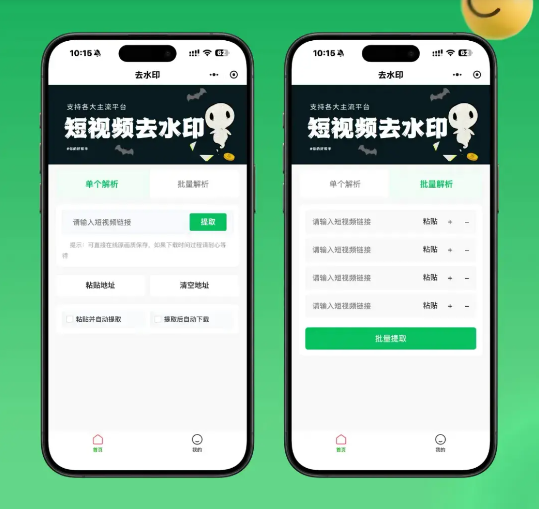 2026最新去水印小程序源码 v1.6.5 带流量主-知铺资源网