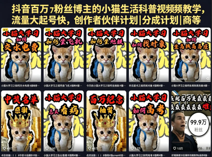 免费教程-抖音百万粉丝博主的小猫生活科普视频教学，流量大起号快，创作者伙伴计划|分成计划|商单|收徒等-知铺资源网