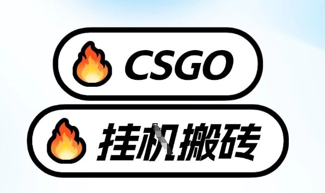真全网独家CSGO挂G,最新玩法,单日捡漏1K+,不用电脑,不用打游戏【揭秘】