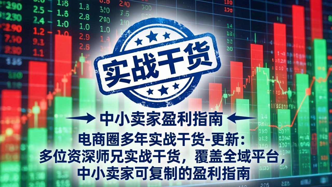 免费资源-电商圈多年实战干货-更新2026：多位资深师兄实战干货/覆盖全域平台，中小卖家可复制的盈利指南-知铺资源网