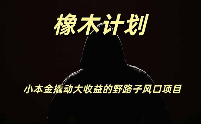 免费资源-橡木计划，小投入撬动高回报的风口野路子项目，一天投入2小时左右-知铺资源网