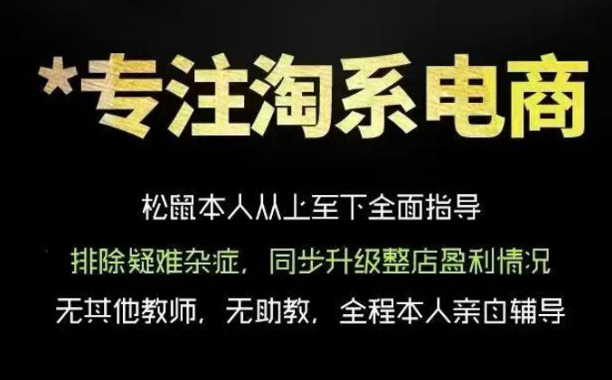 免费资源-松鼠会电商VIP课程,从基础布局到高阶优化,助你掌握淘宝运营逻辑,提升店铺流量与转化(更新0809)-知铺资源网