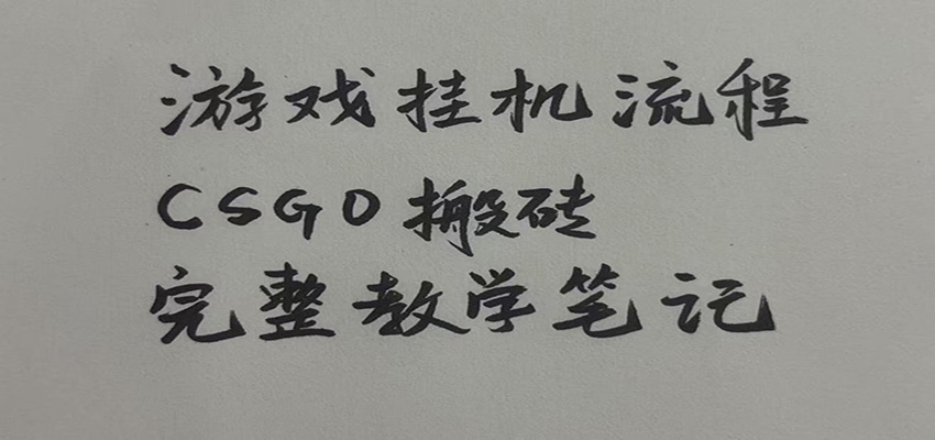 免费资源-游戏挂机全流程笔记分享,CSGO游戏搬砖,小白看了当天学会见收益-知铺资源网
