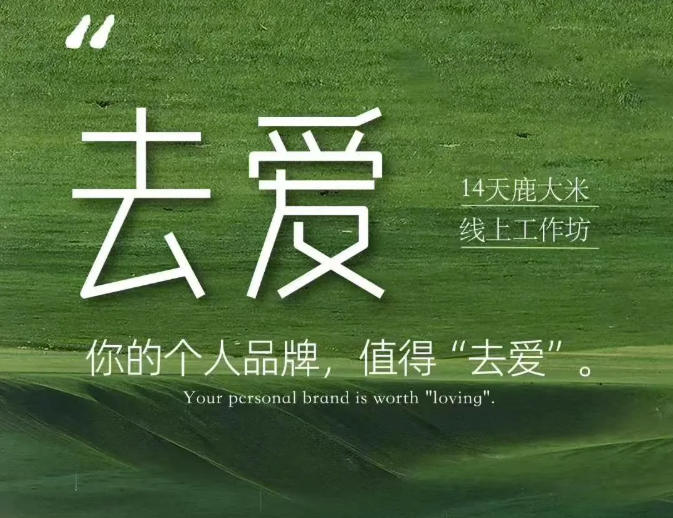 免费资源-去爱14天鹿大米线上工作坊,你的个人品牌,值得“去爱”-知铺资源网